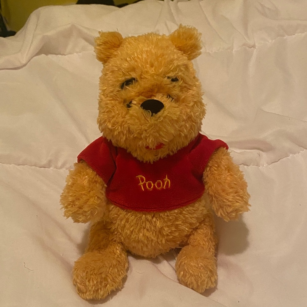 Winnie the Pooh Plush Toy From Disneyland
